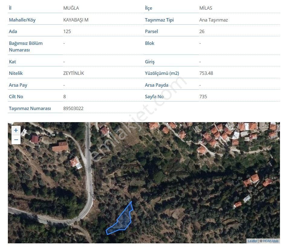 Milas Kayabaşı Mah De Satılık Ze