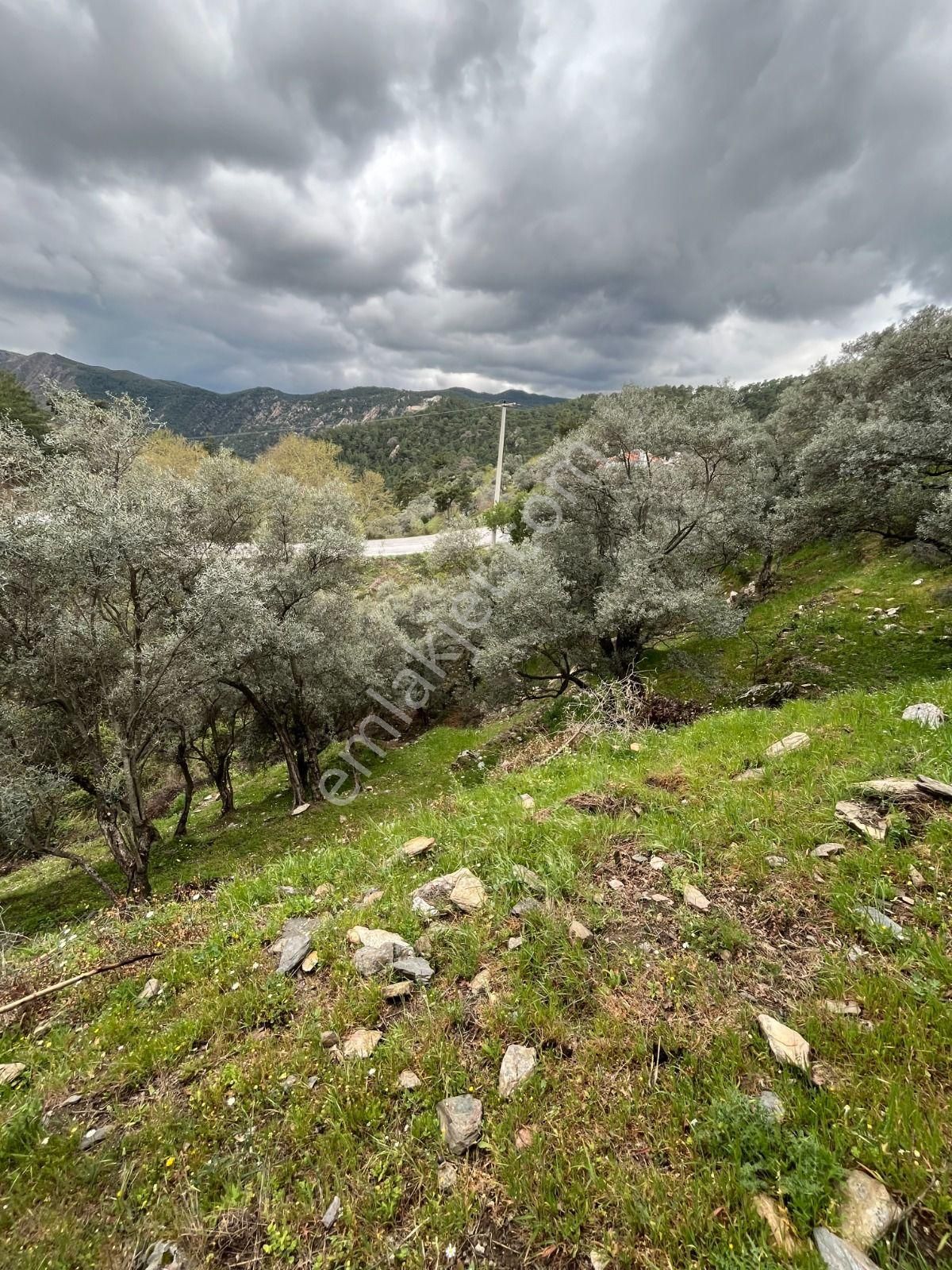 Milas Kayabaşı Mah De Satılık Ze - Görsel 5