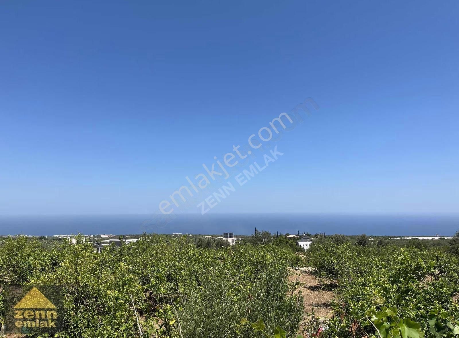 Mersin De Satılık 7150 M2 Limon Bahcesi - Görsel 3