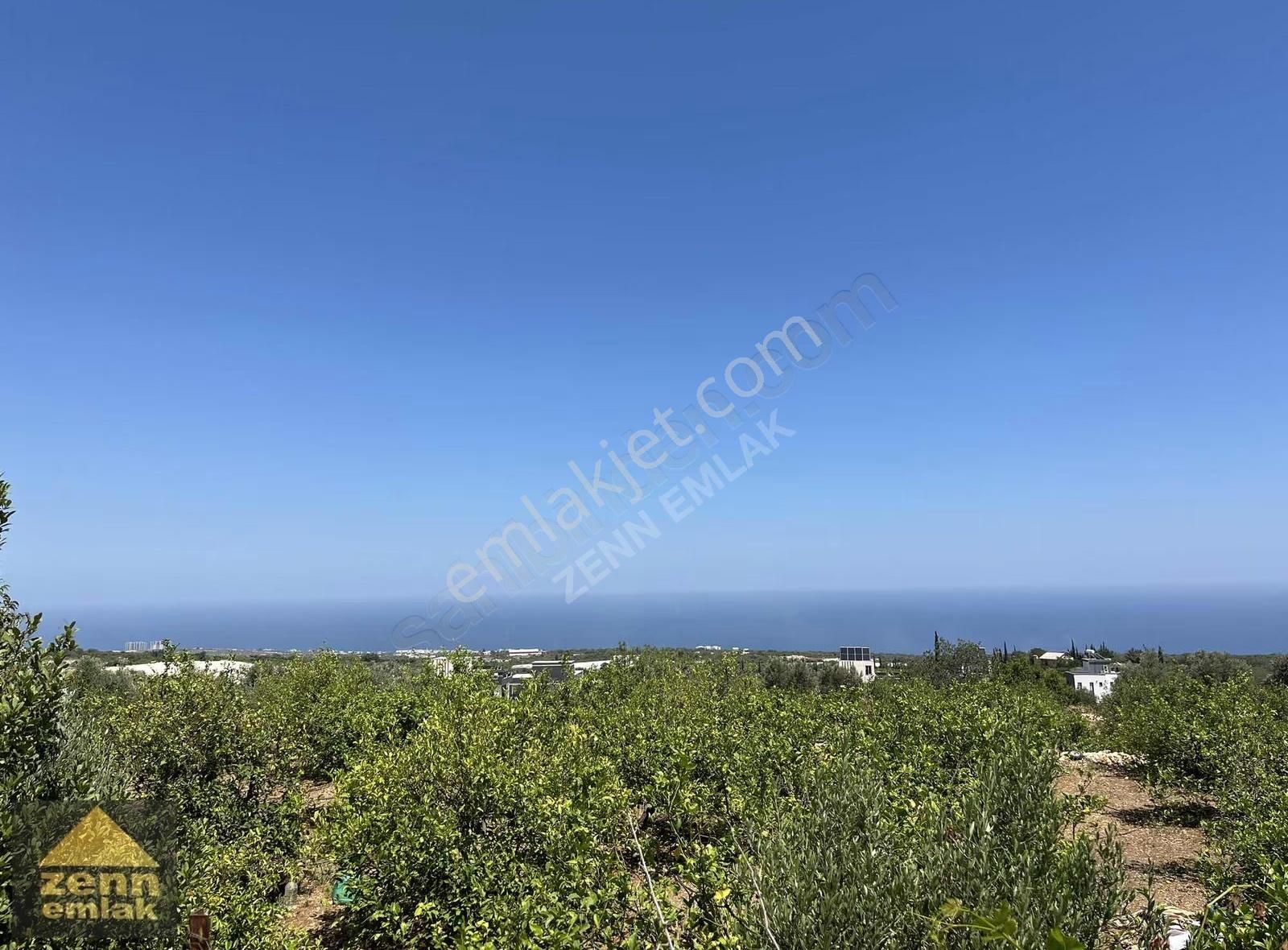 Mersin De Satılık 7150 M2 Limon Bahcesi - Görsel 11