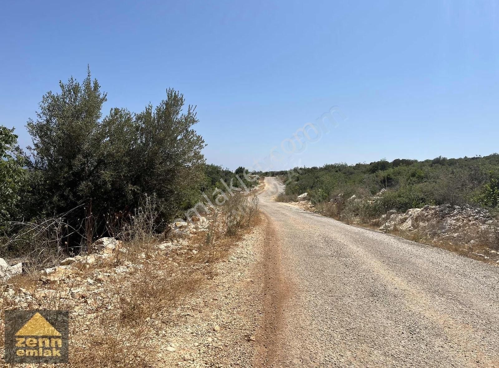 Mersin De Satılık 7150 M2 Limon Bahcesi - Görsel 10