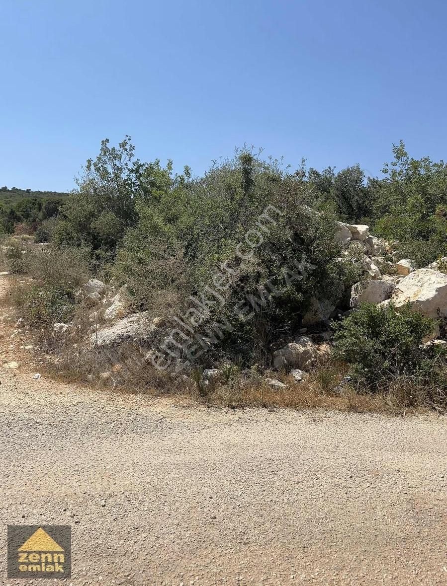 Mersin De Satılık 7150 M2 Limon Bahcesi - Görsel 6
