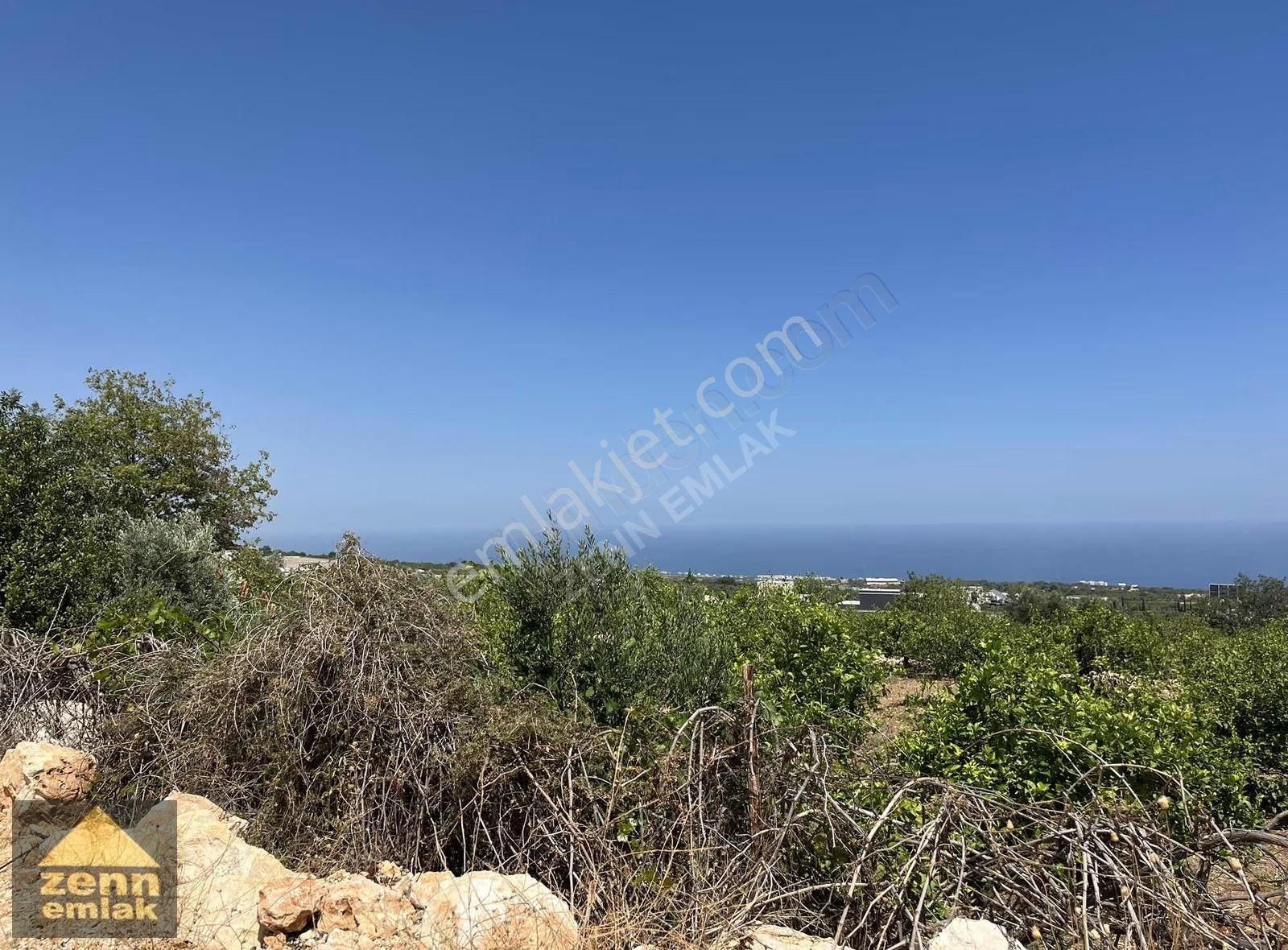 Mersin De Satılık 7150 M2 Limon Bahcesi - Görsel 2