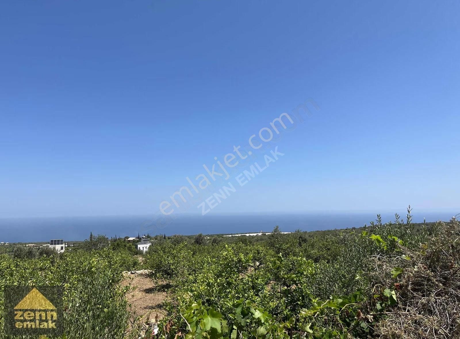 Mersin De Satılık 7150 M2 Limon Bahcesi - Görsel 9