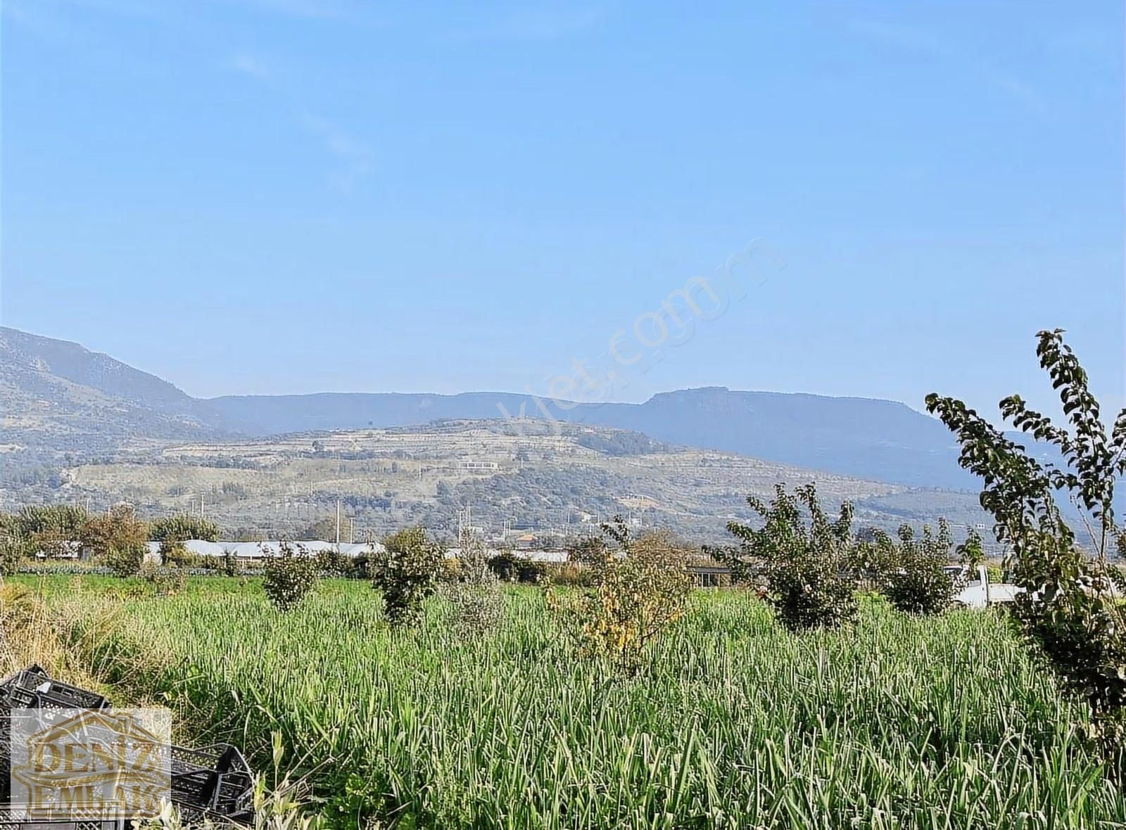 Menemen Emiralemde Satılık 2238m2 Elektrik Yanıbaşında Ağaçlı Tarla - Görsel 5