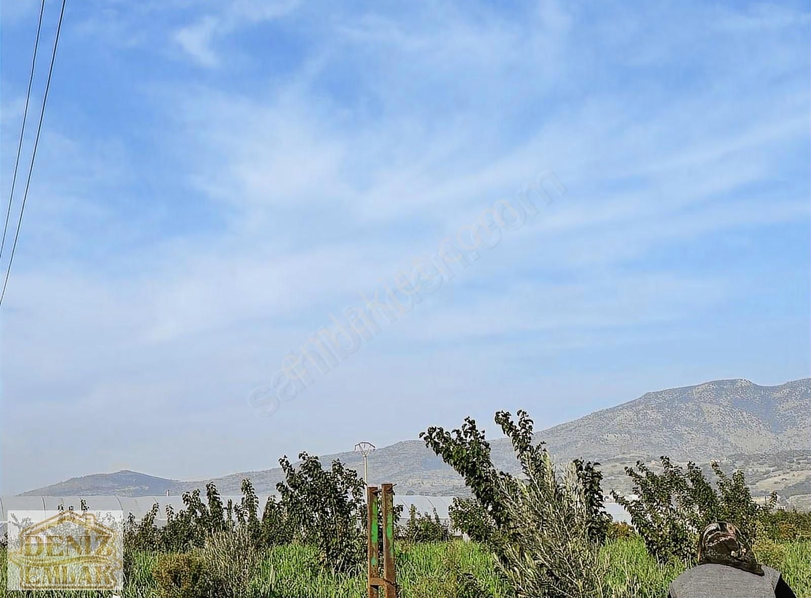 Menemen Emiralemde Satılık 2238m2 Elektrik Yanıbaşında Ağaçlı Tarla - Görsel 6