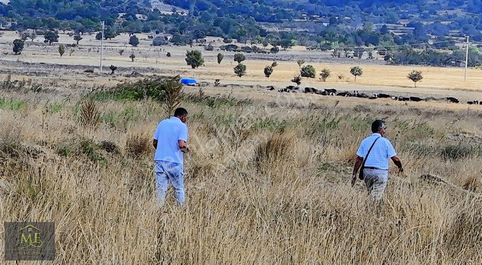 Kaynak Suyu İçinde Verimli Tarla Saldagölüne Yakın Yerleşim Yeri - Görsel 5