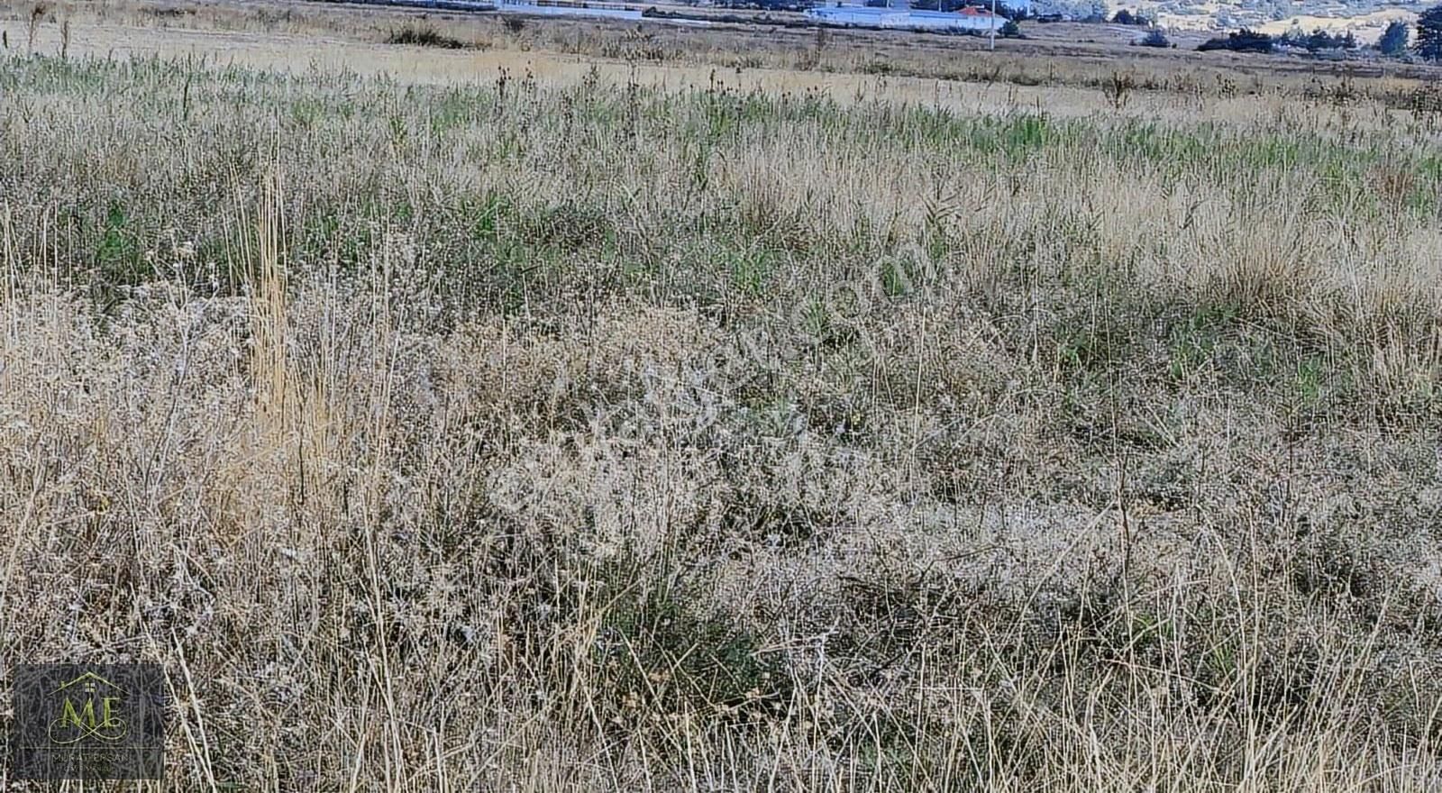 Kaynak Suyu İçinde Verimli Tarla Saldagölüne Yakın Yerleşim Yeri - Görsel 3