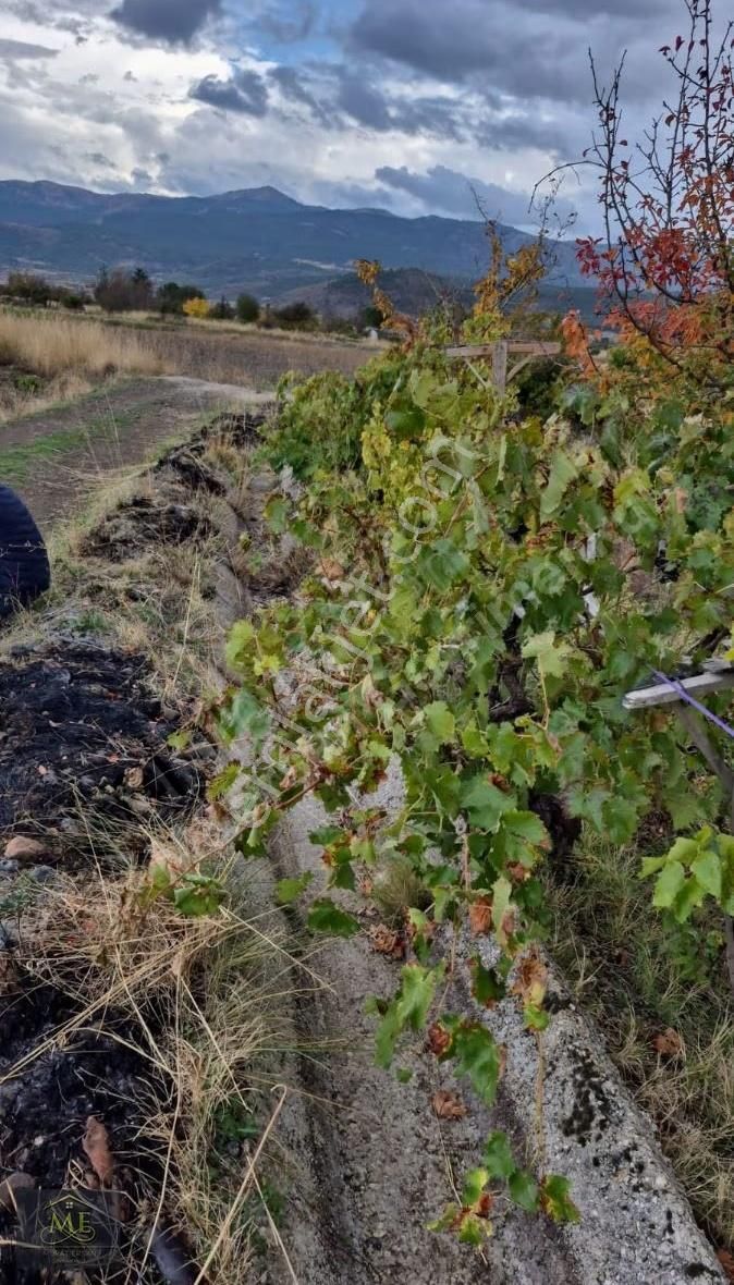 Yolusuyu Var Salda Gölüne Yakın. Yerleşim Yakın Yapı Yapılabilir - Görsel 3