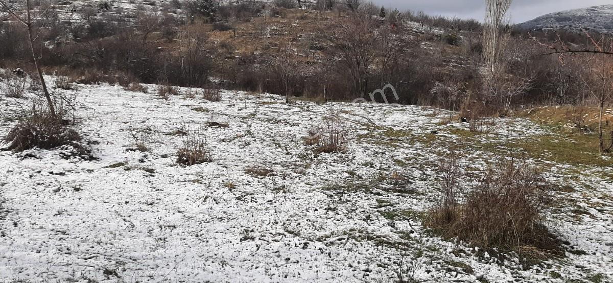 Isparta Uluborlu İleydağ Yerleşime Yakın 4633 M2 Satılık Tarla - Görsel 23