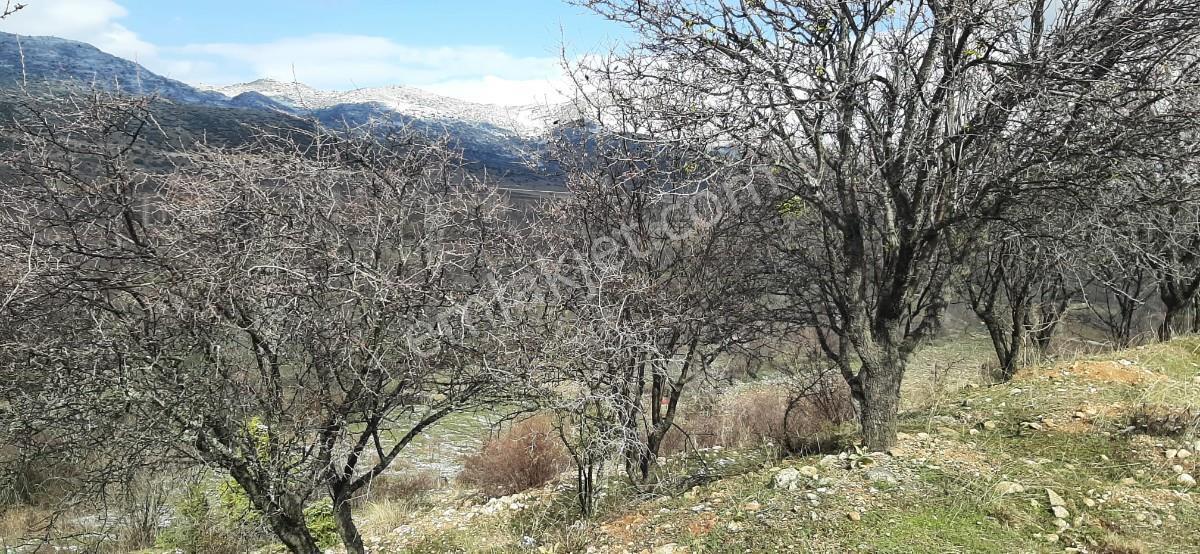 Isparta Uluborlu İleydağ Yerleşime Yakın 4633 M2 Satılık Tarla - Görsel 12