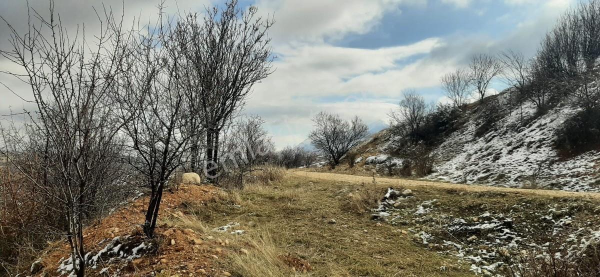 Isparta Uluborlu İleydağ Yerleşime Yakın 4633 M2 Satılık Tarla - Görsel 20