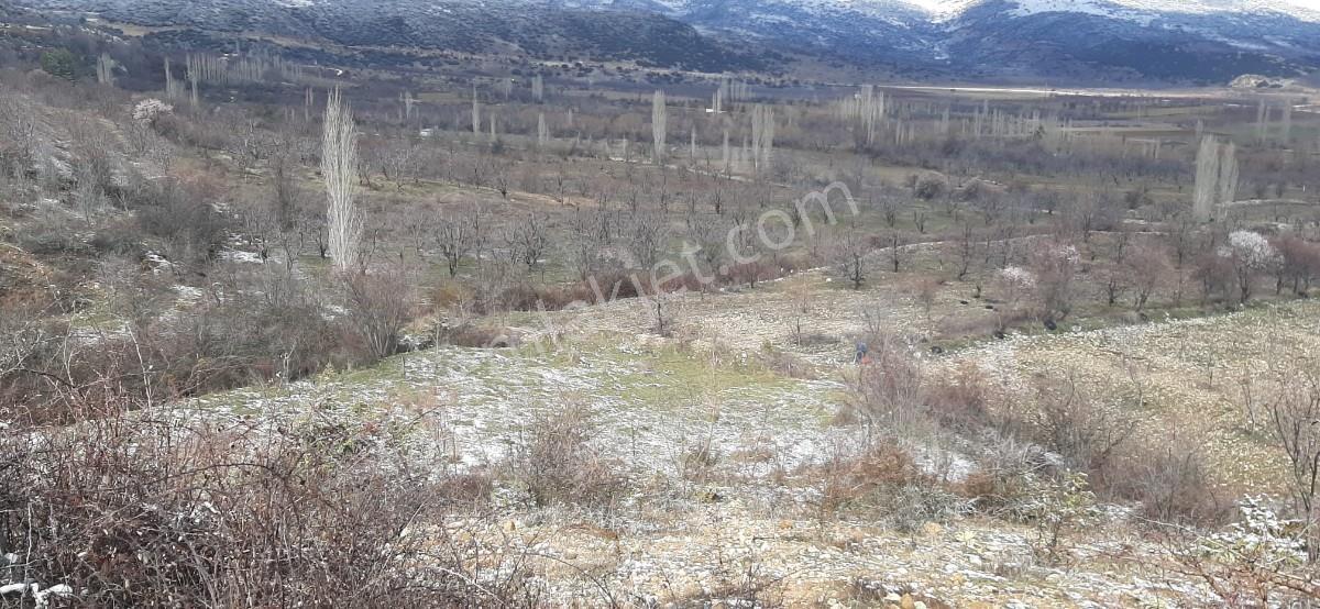 Isparta Uluborlu İleydağ Yerleşime Yakın 4633 M2 Satılık Tarla - Görsel 9