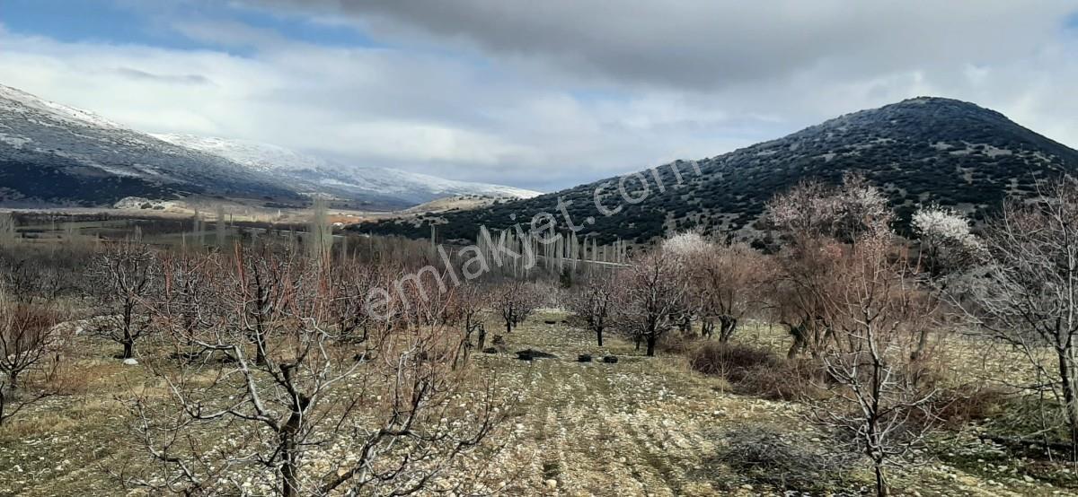 Isparta Uluborlu İleydağ Yerleşime Yakın 4633 M2 Satılık Tarla - Görsel 22