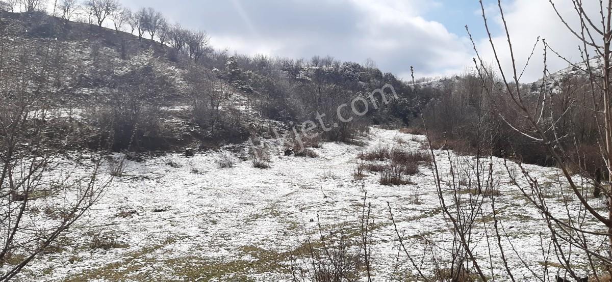 Isparta Uluborlu İleydağ Yerleşime Yakın 4633 M2 Satılık Tarla - Görsel 26