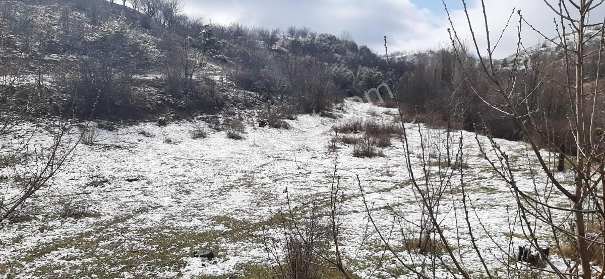 Isparta Uluborlu İleydağ Yerleşime Yakın 4633 M2 Satılık Tarla - Görsel 19