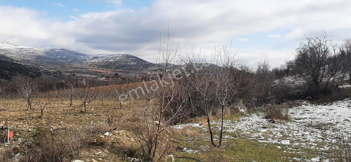 Isparta Uluborlu İleydağ Yerleşime Yakın 4633 M2 Satılık Tarla - Görsel 29