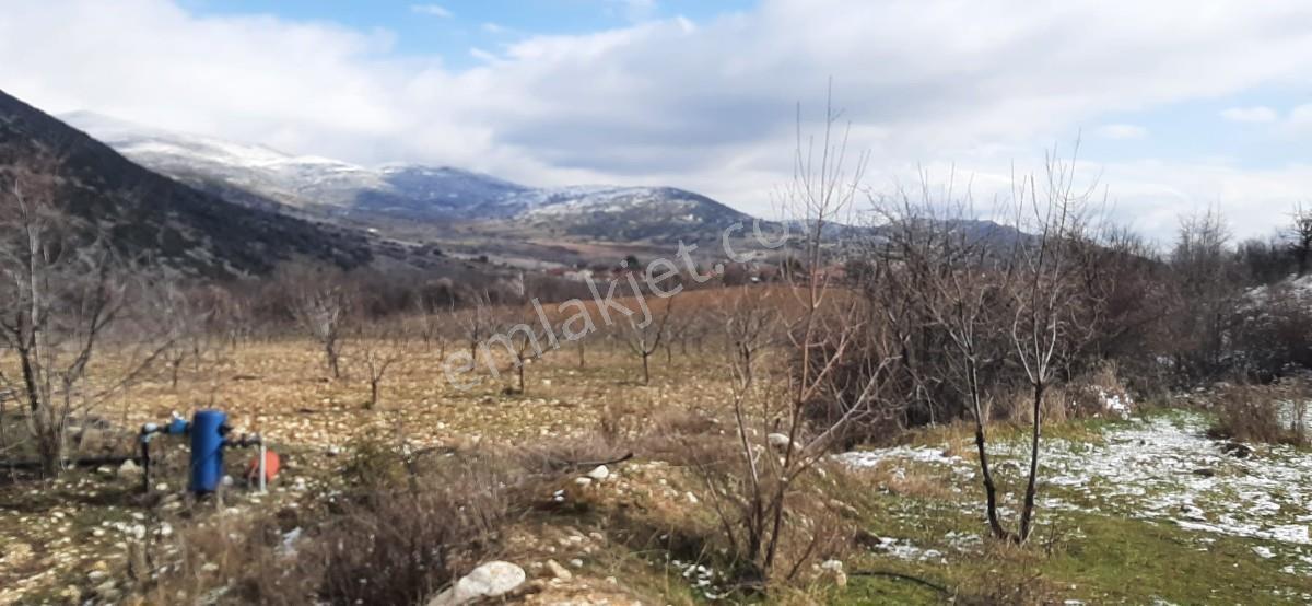 Isparta Uluborlu İleydağ Yerleşime Yakın 4633 M2 Satılık Tarla - Görsel 21