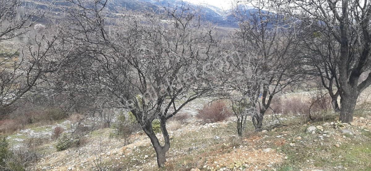 Isparta Uluborlu İleydağ Yerleşime Yakın 4633 M2 Satılık Tarla - Görsel 35
