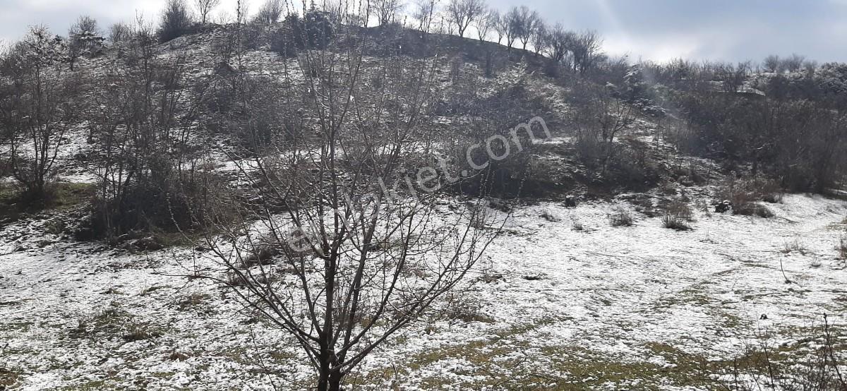 Isparta Uluborlu İleydağ Yerleşime Yakın 4633 M2 Satılık Tarla - Görsel 25