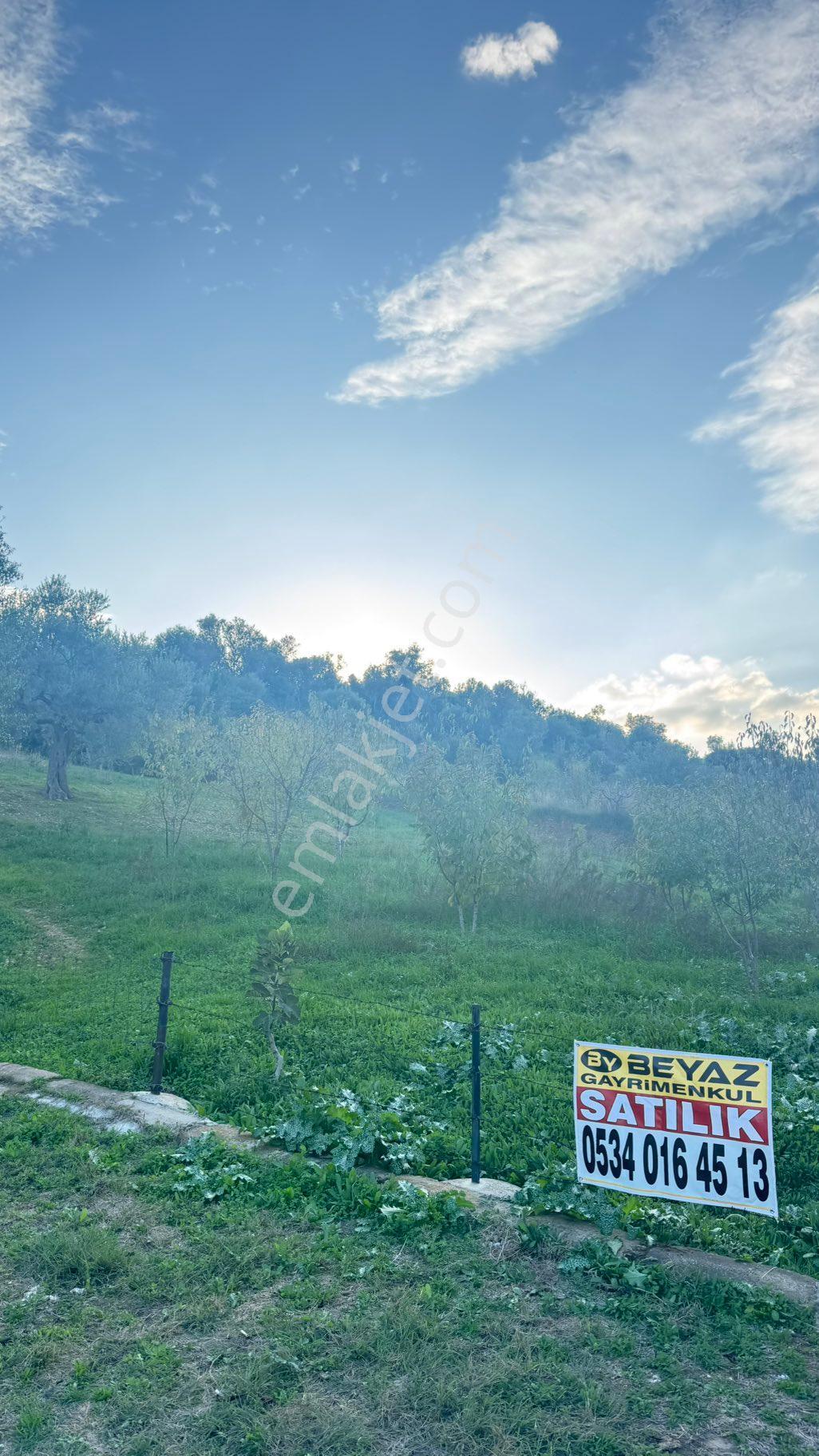 Beyaz Gayrimenkulden Karaoğlanlı Mh Fırsat 2.500 M2 Tarla - Görsel 24