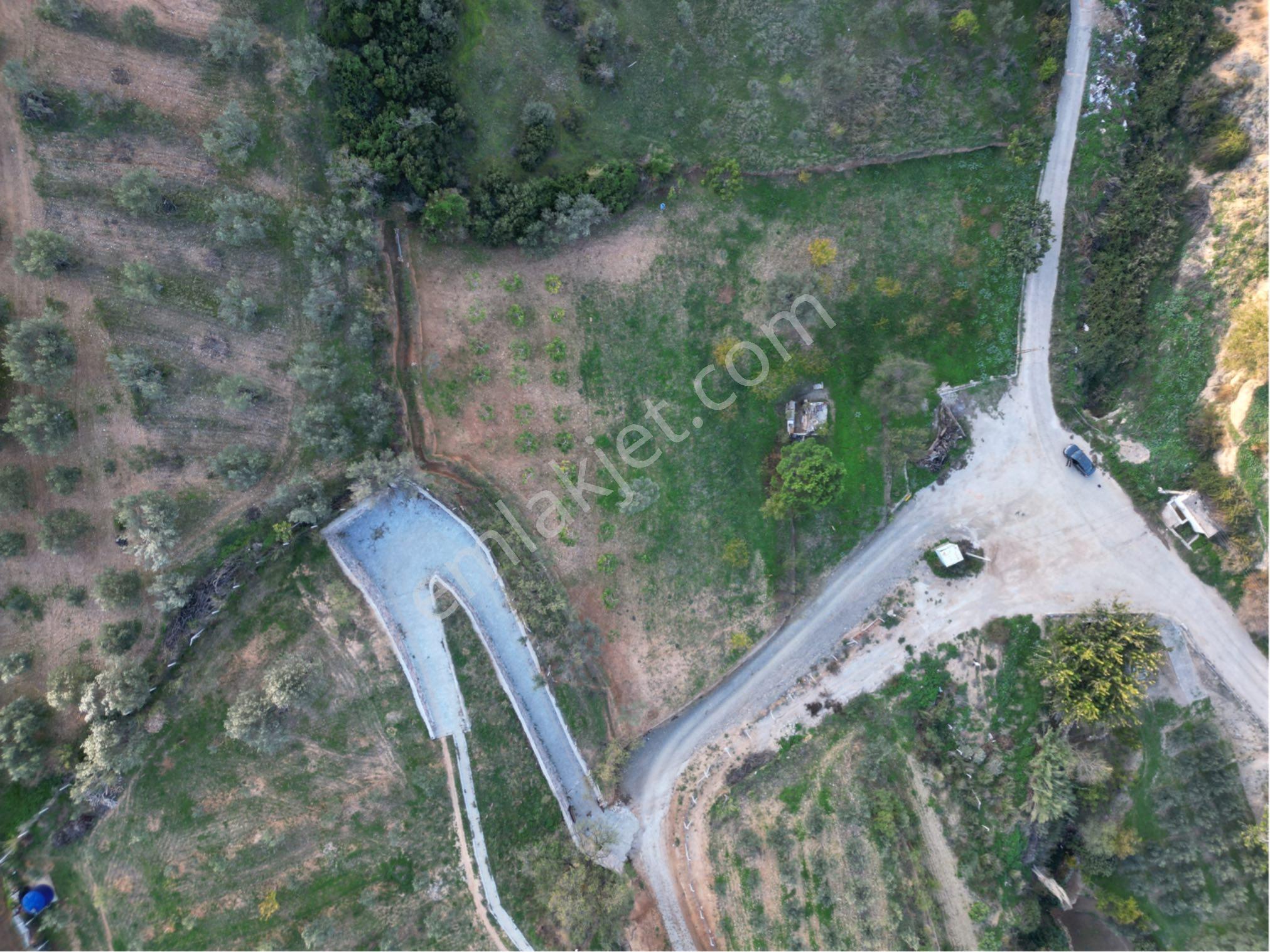 Beyaz Gayrimenkulden Karaoğlanlı Mh Fırsat 2.500 M2 Tarla - Görsel 5