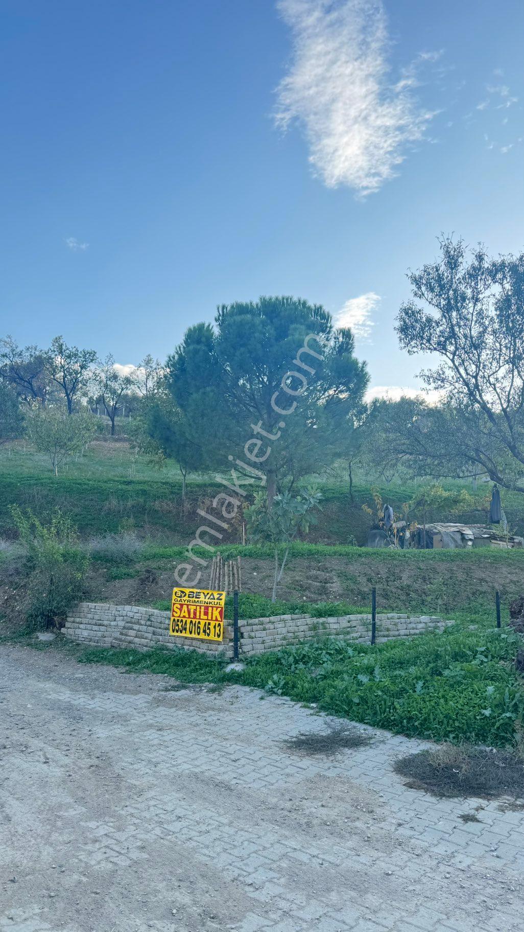 Beyaz Gayrimenkulden Karaoğlanlı Mh Fırsat 2.500 M2 Tarla - Görsel 18