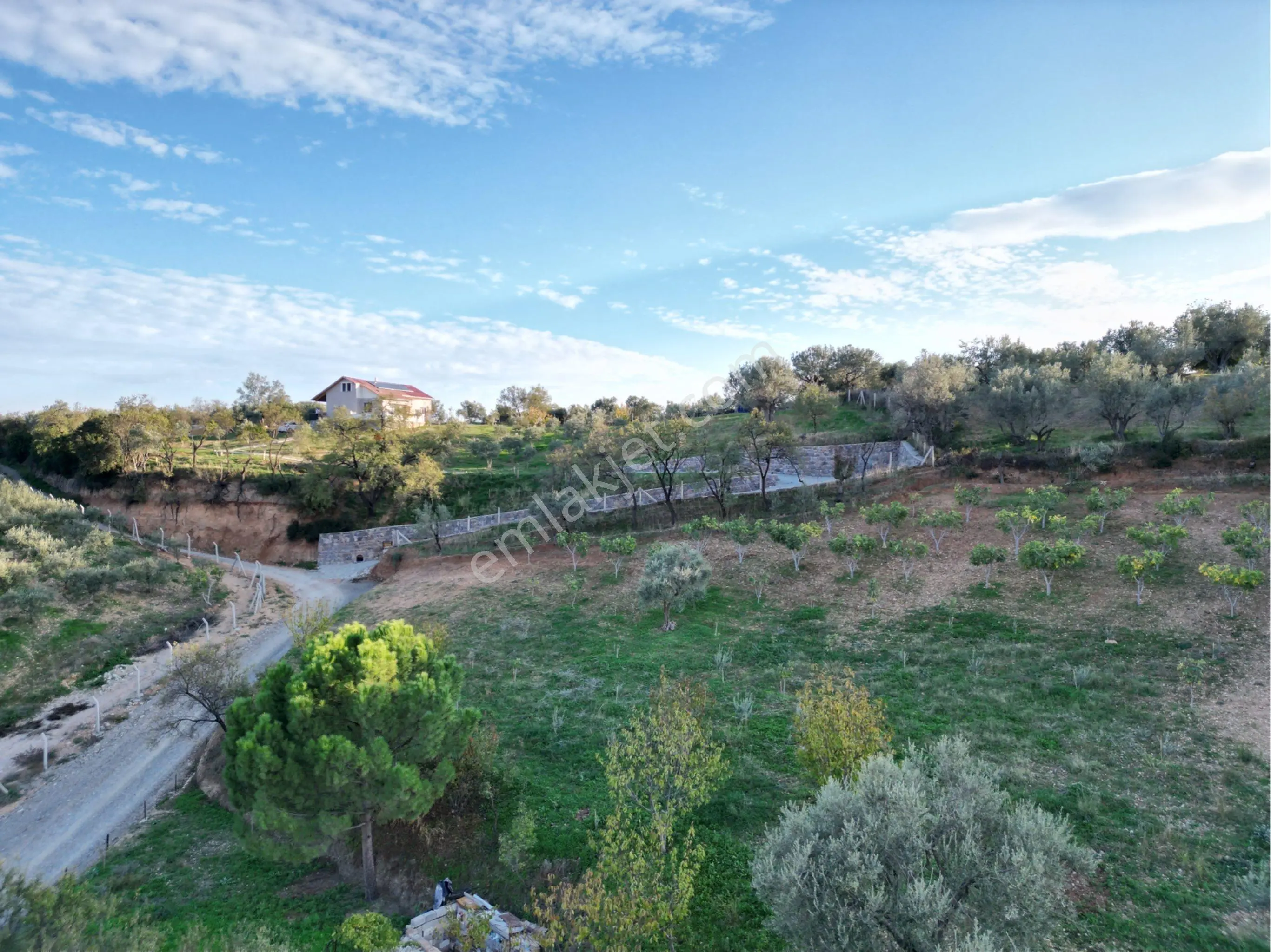 Beyaz Gayrimenkulden Karaoğlanlı Mh Fırsat 2.500 M2 Tarla - Görsel 2