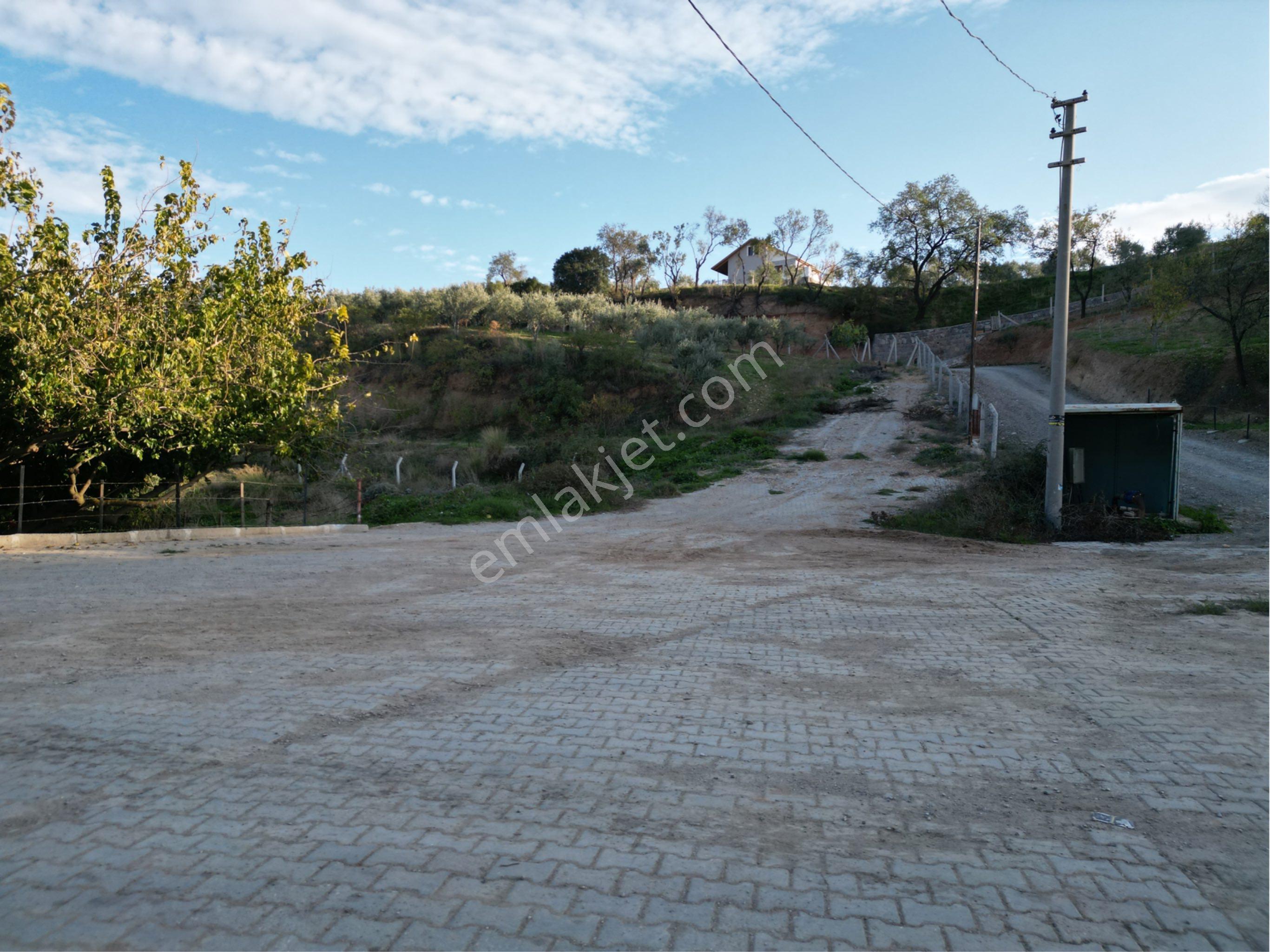 Beyaz Gayrimenkulden Karaoğlanlı Mh Fırsat 2.500 M2 Tarla - Görsel 15