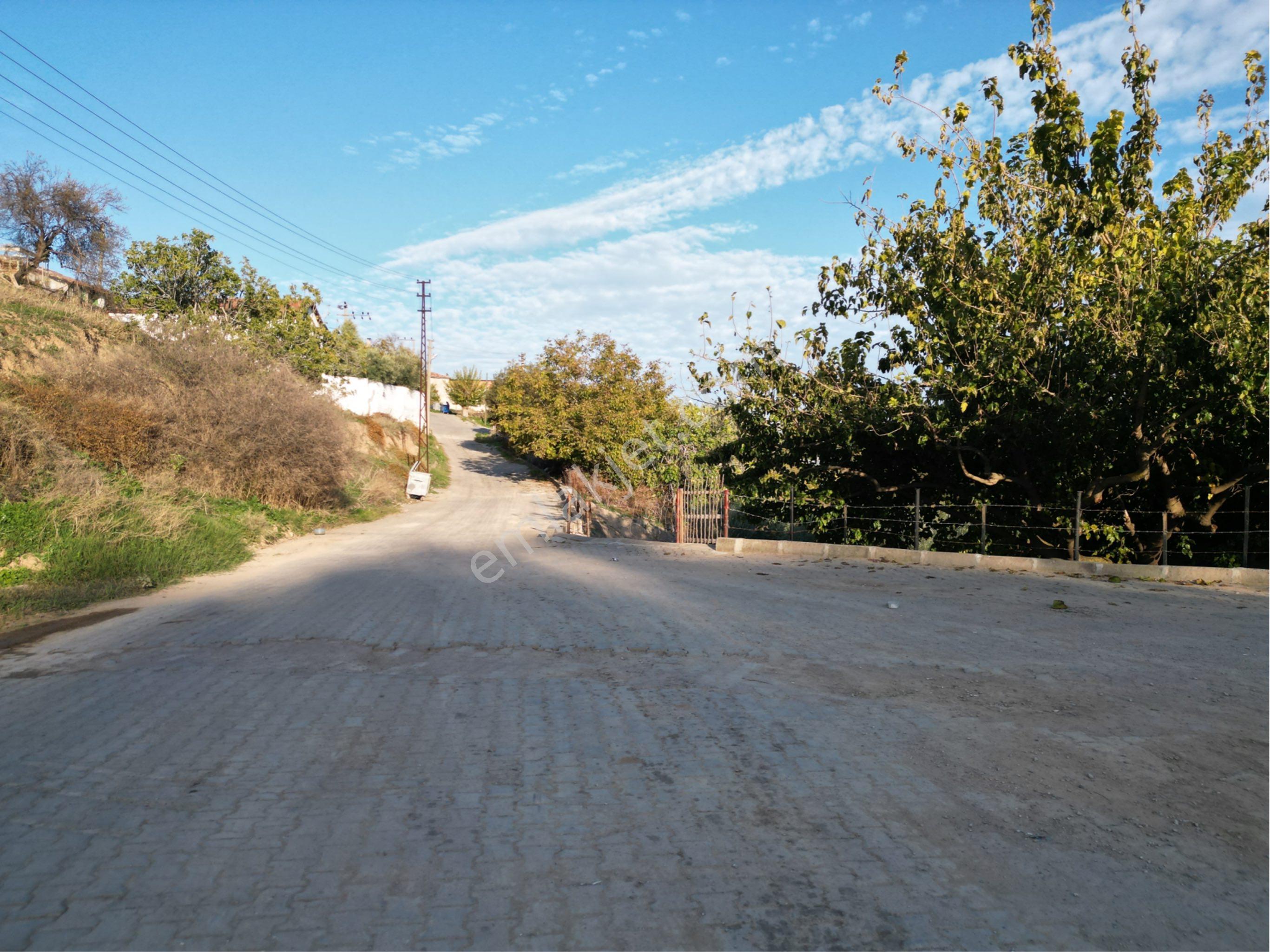 Beyaz Gayrimenkulden Karaoğlanlı Mh Fırsat 2.500 M2 Tarla - Görsel 12