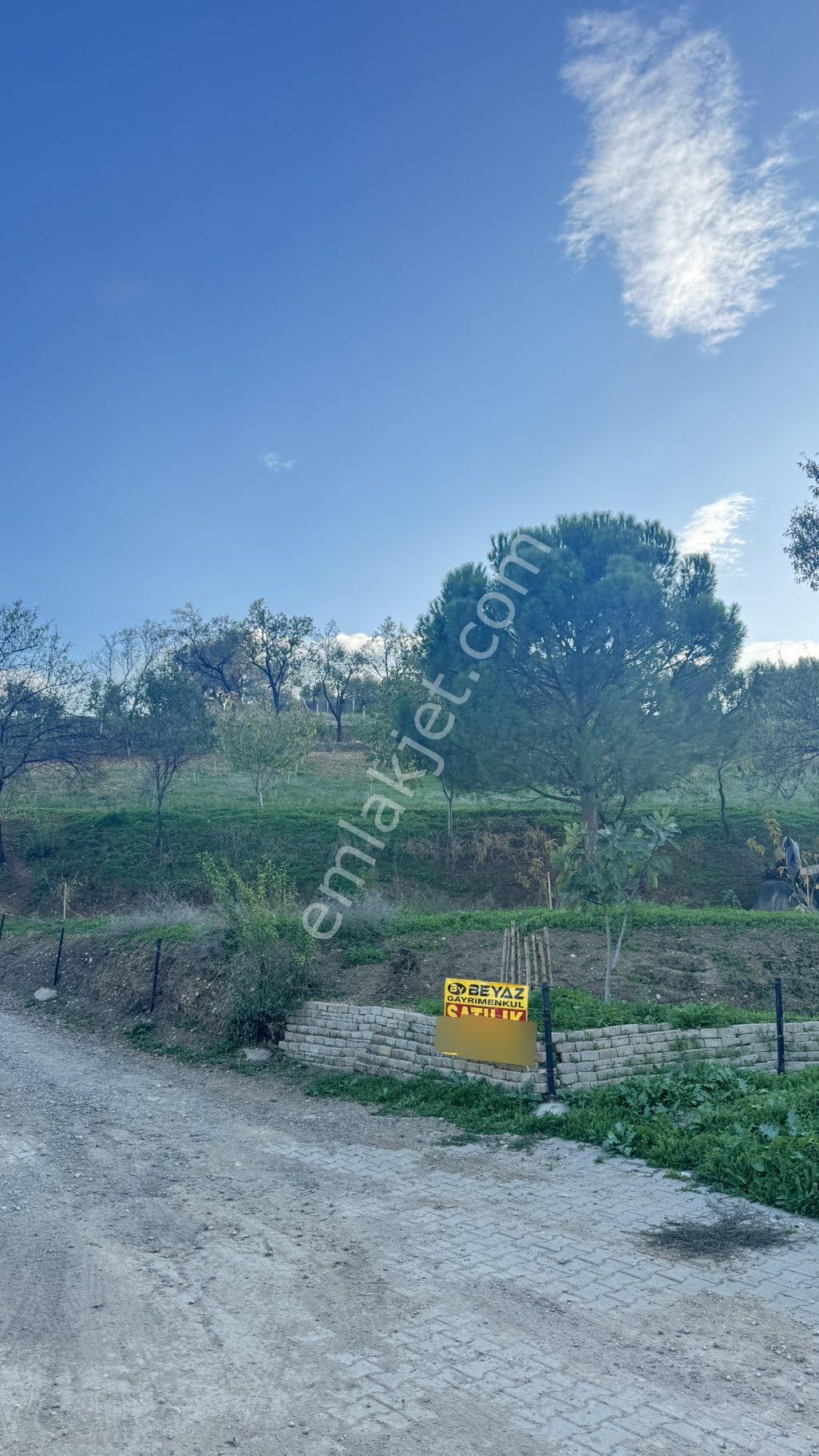 Beyaz Gayrimenkulden Karaoğlanlı Mh Fırsat 2.500 M2 Tarla - Görsel 19