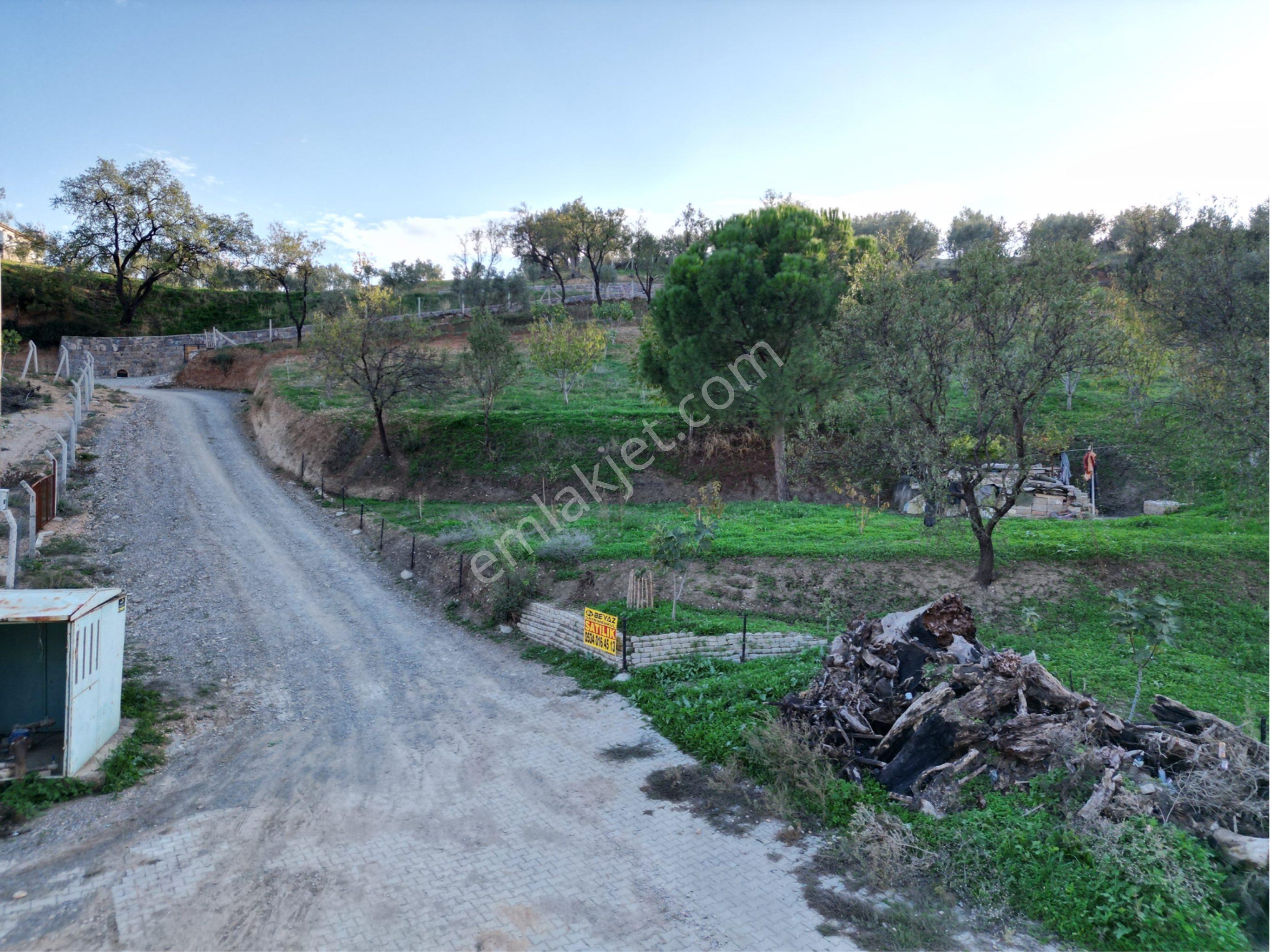 Beyaz Gayrimenkulden Karaoğlanlı Mh Fırsat 2.500 M2 Tarla - Görsel 6