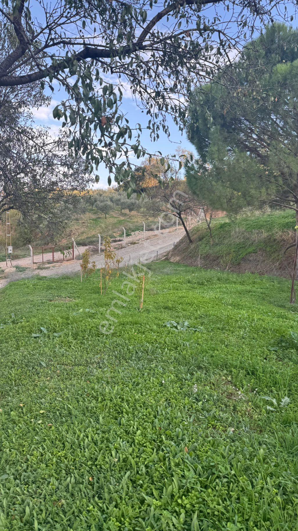Beyaz Gayrimenkulden Karaoğlanlı Mh Fırsat 2.500 M2 Tarla - Görsel 28