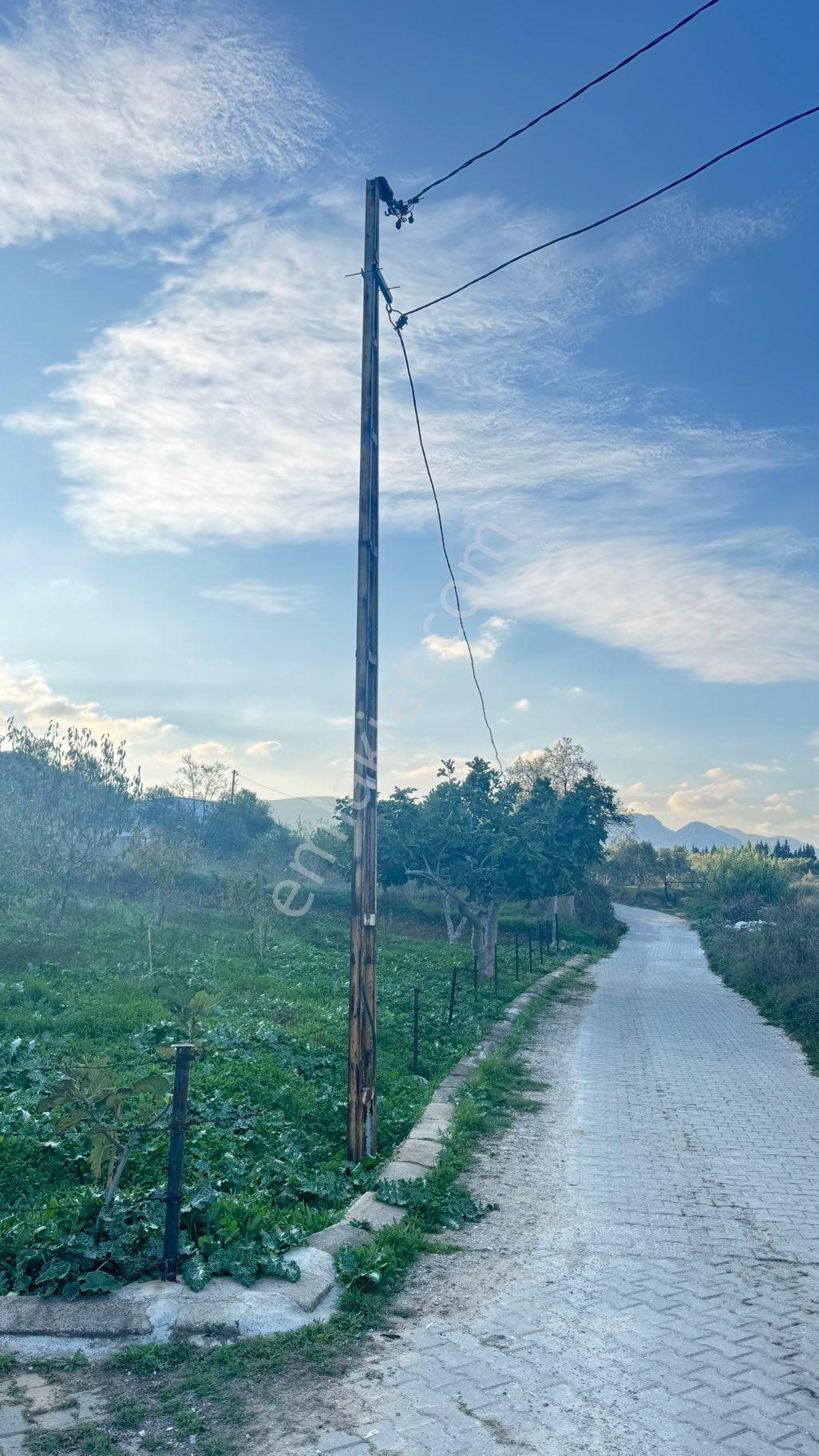 Beyaz Gayrimenkulden Karaoğlanlı Mh Fırsat 2.500 M2 Tarla - Görsel 21