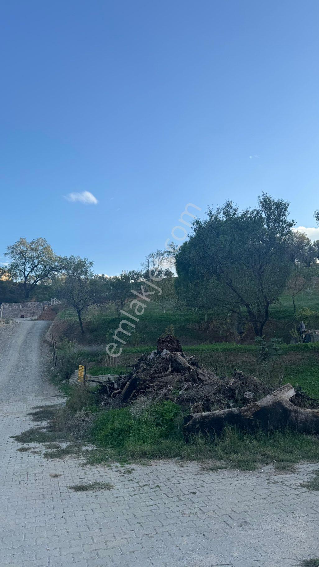 Beyaz Gayrimenkulden Karaoğlanlı Mh Fırsat 2.500 M2 Tarla - Görsel 25