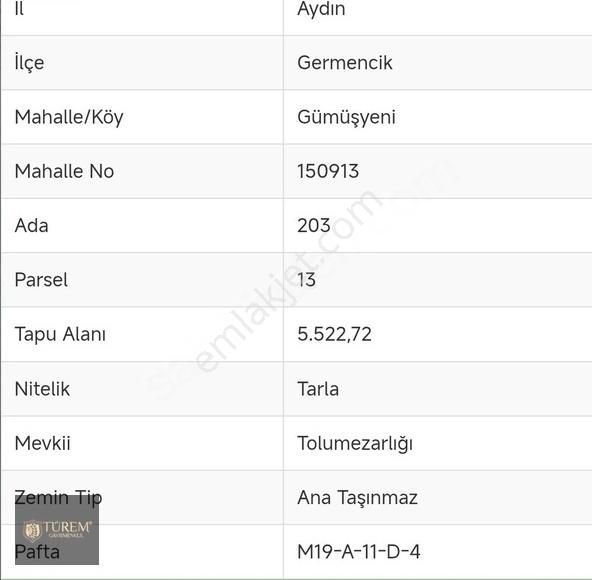Satılık Zeytin Ve İncir Bahçesi - Görsel 3