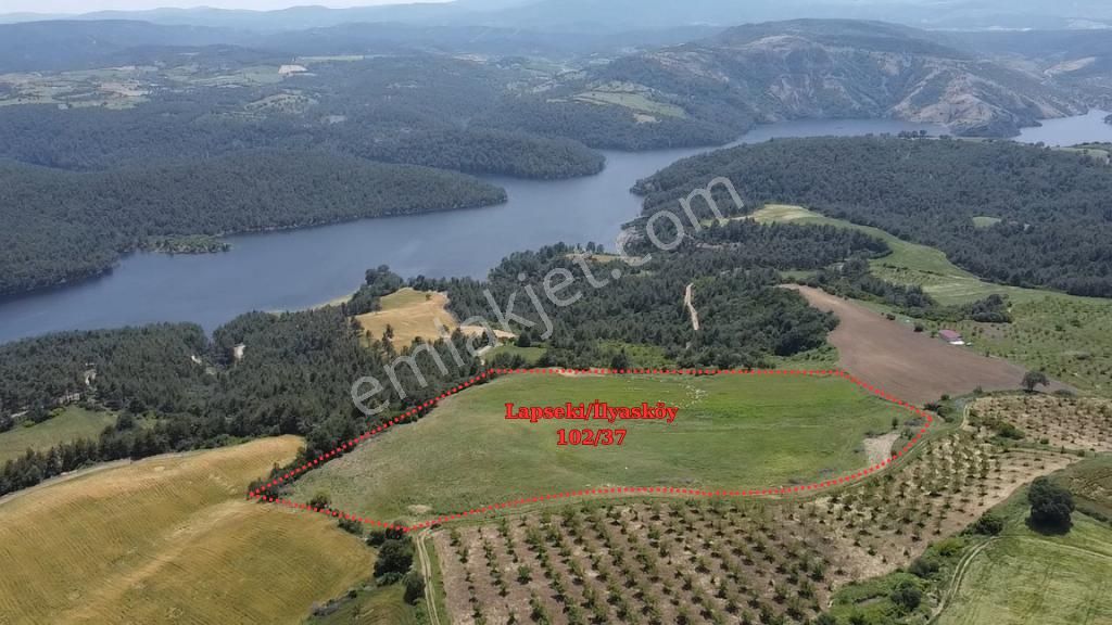 Remax Canbek Tarba-yeşilin Ve Mavinin Her Tonunu - Görsel 2