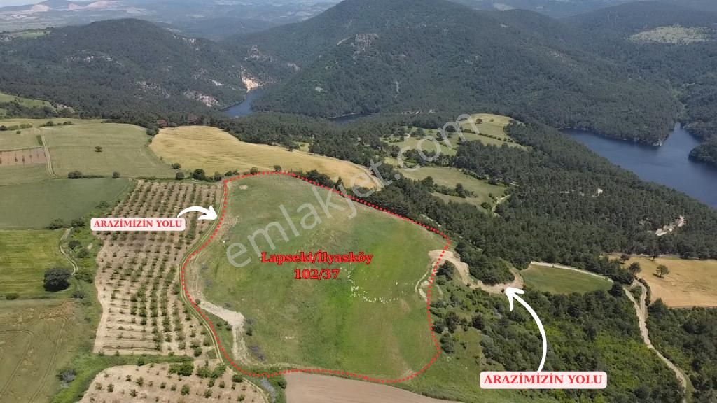 Remax Canbek Tarba-yeşilin Ve Mavinin Her Tonunu - Görsel 9