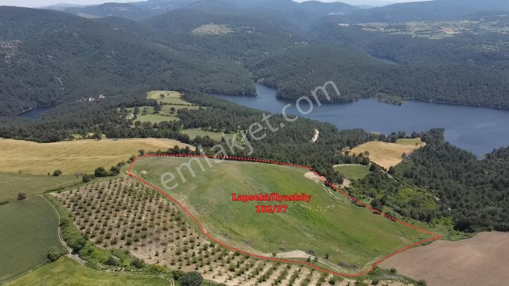 Remax Canbek Tarba-yeşilin Ve Mavinin Her Tonunu - Görsel 8