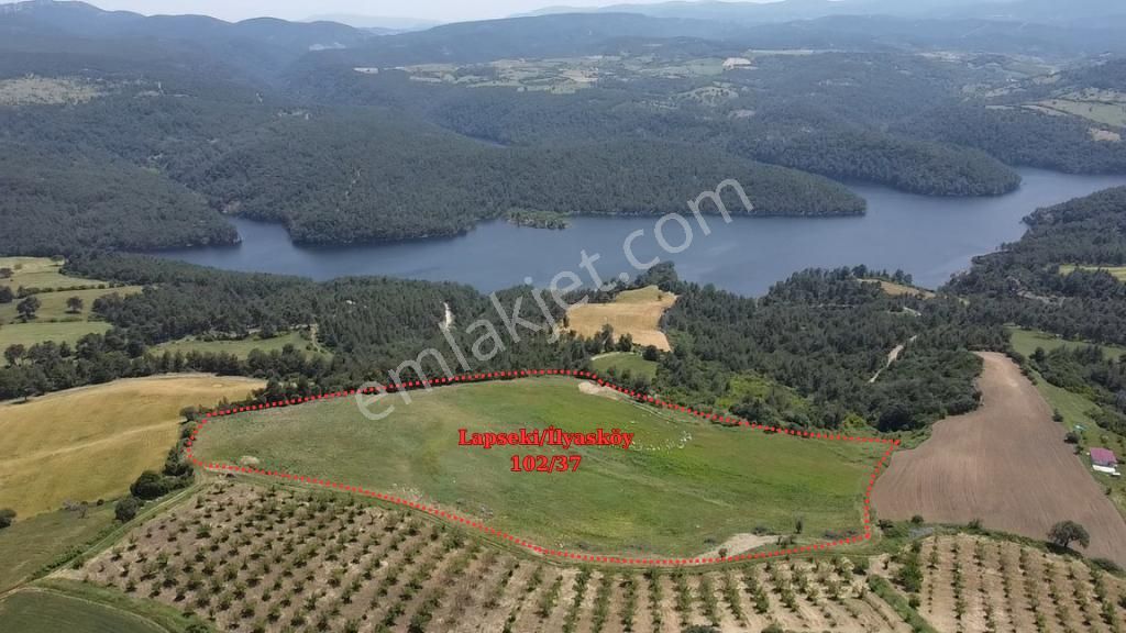 Remax Canbek Tarba-yeşilin Ve Mavinin Her Tonunu - Görsel 7