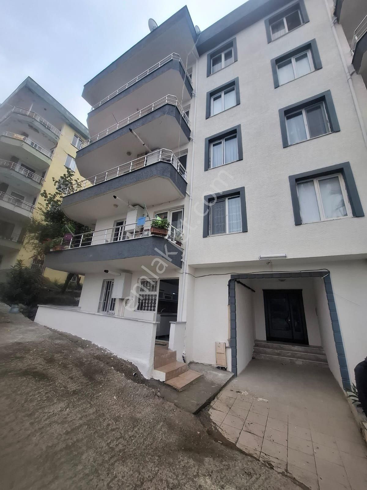 Çınarcık Çamlıkta Doğalgazlı İçi Yeni 2+1 Daire - Görsel 2