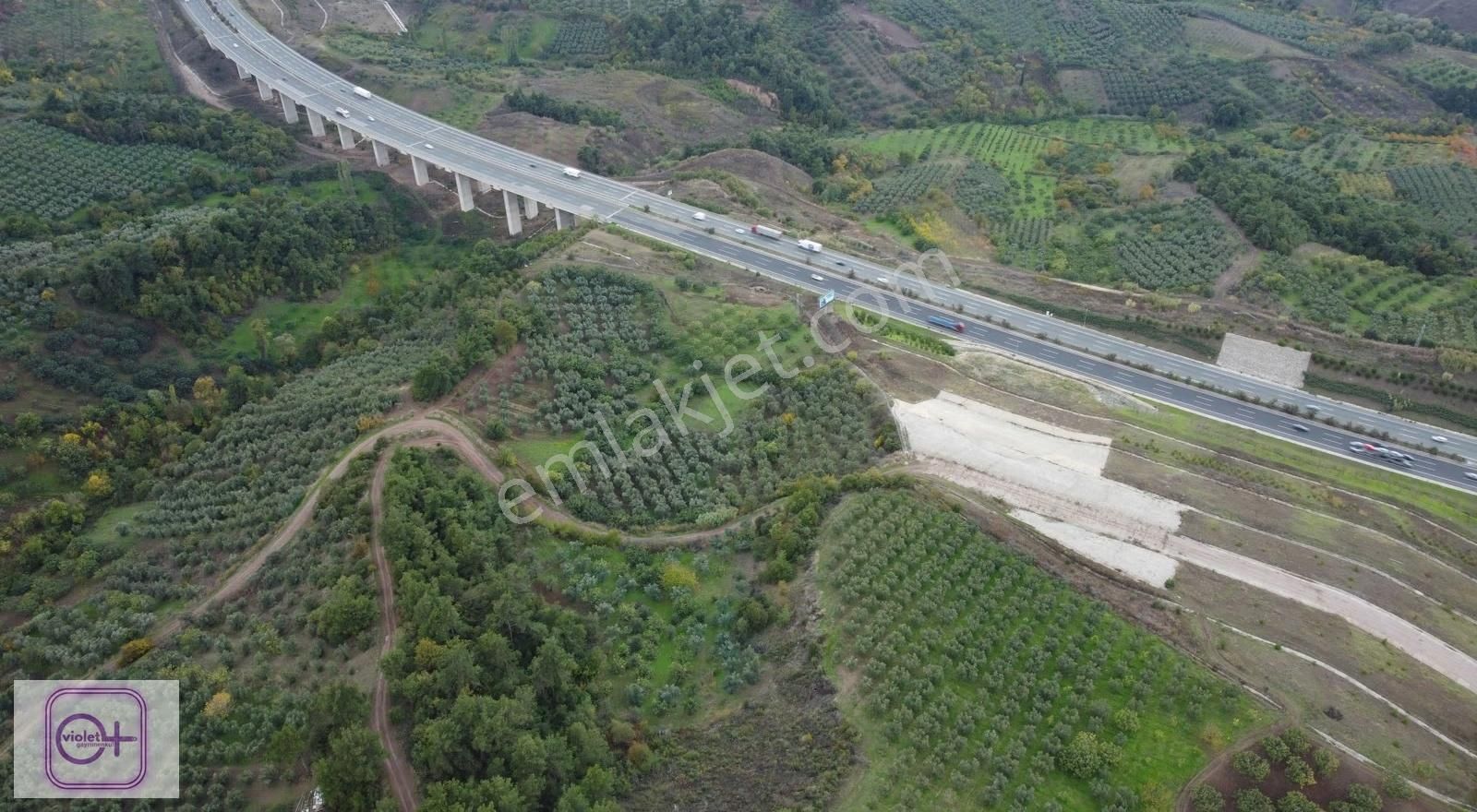 Violetten Satılık Bursa Selçukgazi Otoban Yanı 3456 M2 Arazi - Görsel 9