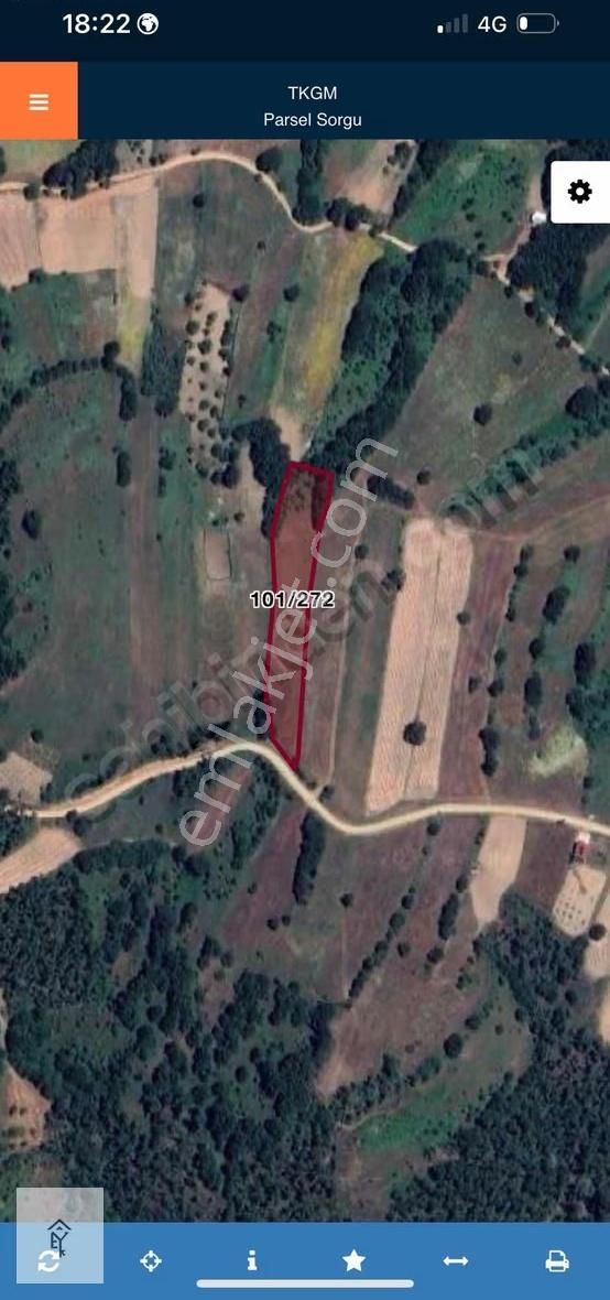 Emin Yerlikaya`dan Üçpınarda Tarla - Görsel 2