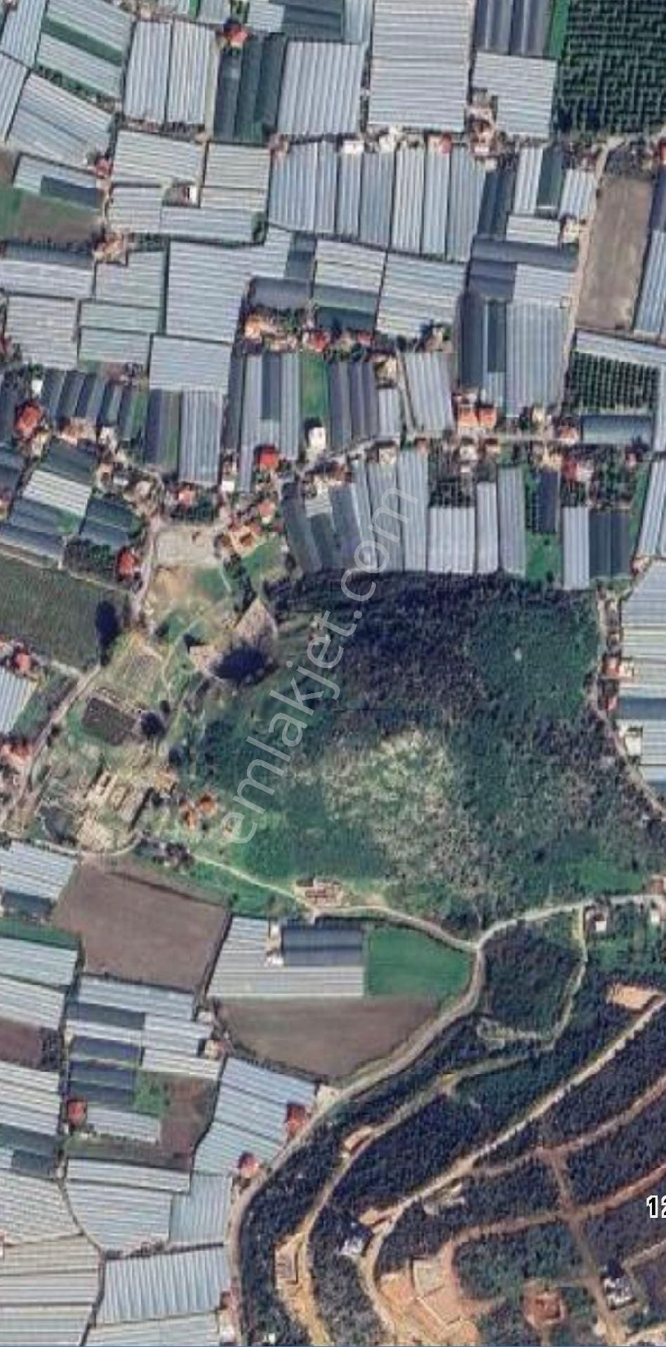 Muğla/seydikemer Kumluova Mah. 700 M² Satılık Arsa - Görsel 10