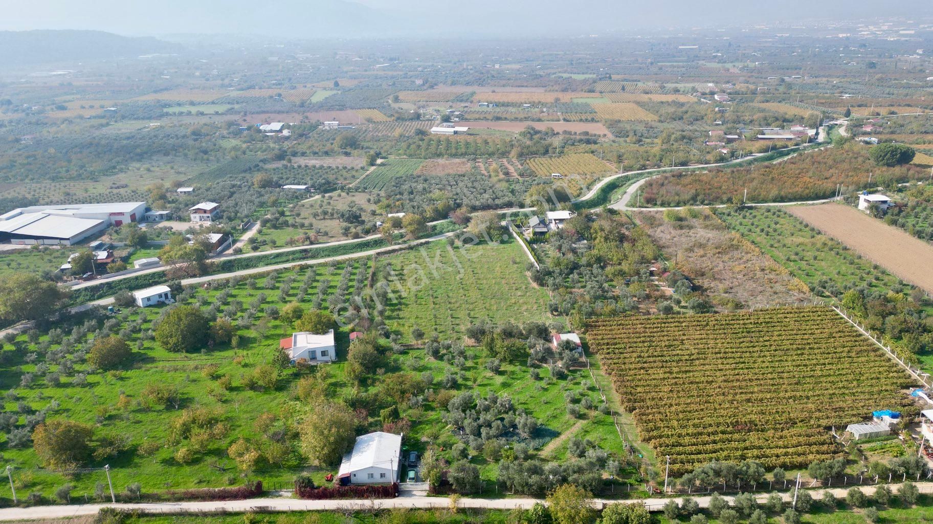 Kemalpaşa Aşağıkızılca’da Satılık Bağ Ve 2+1 Bağ Evi - Görsel 10