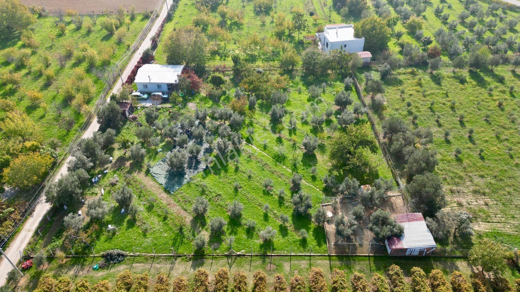 Kemalpaşa Aşağıkızılca’da Satılık Bağ Ve 2+1 Bağ Evi - Görsel 4