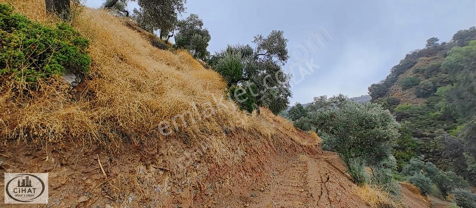 Cihat İnşaat Emlak Tan Satılık Zeytin Bahçesi - Görsel 9