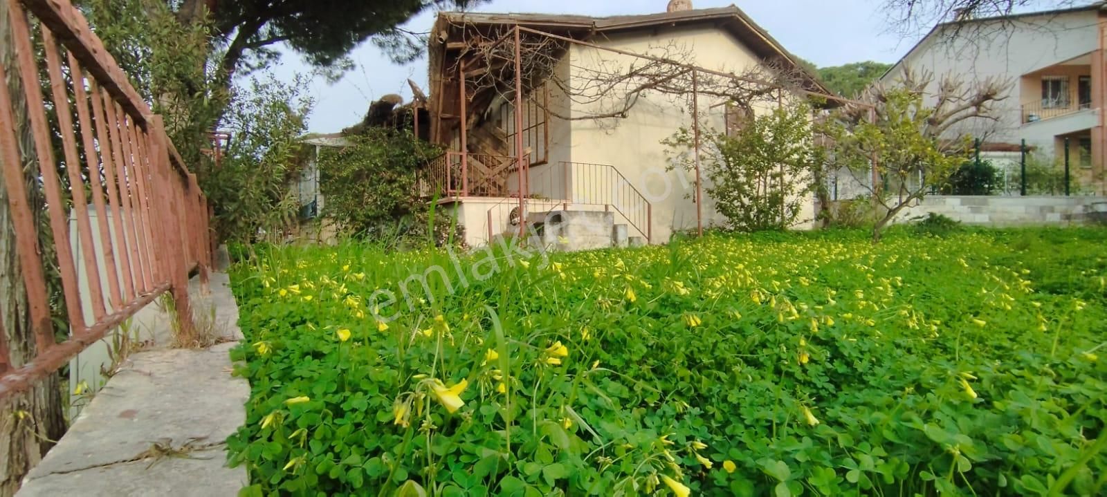 Didimde Denize 130 M Müstakil Ev - Görsel 3