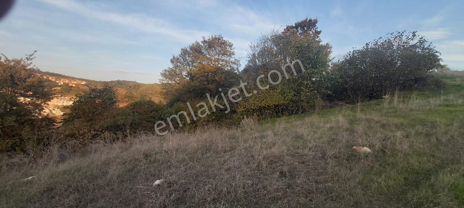 Mesutaltay Gayrimenkulden... Mustafakemalpaşa/incealipınar'da Kaçırılmayacak Emsalde Arazi. - Görsel 2