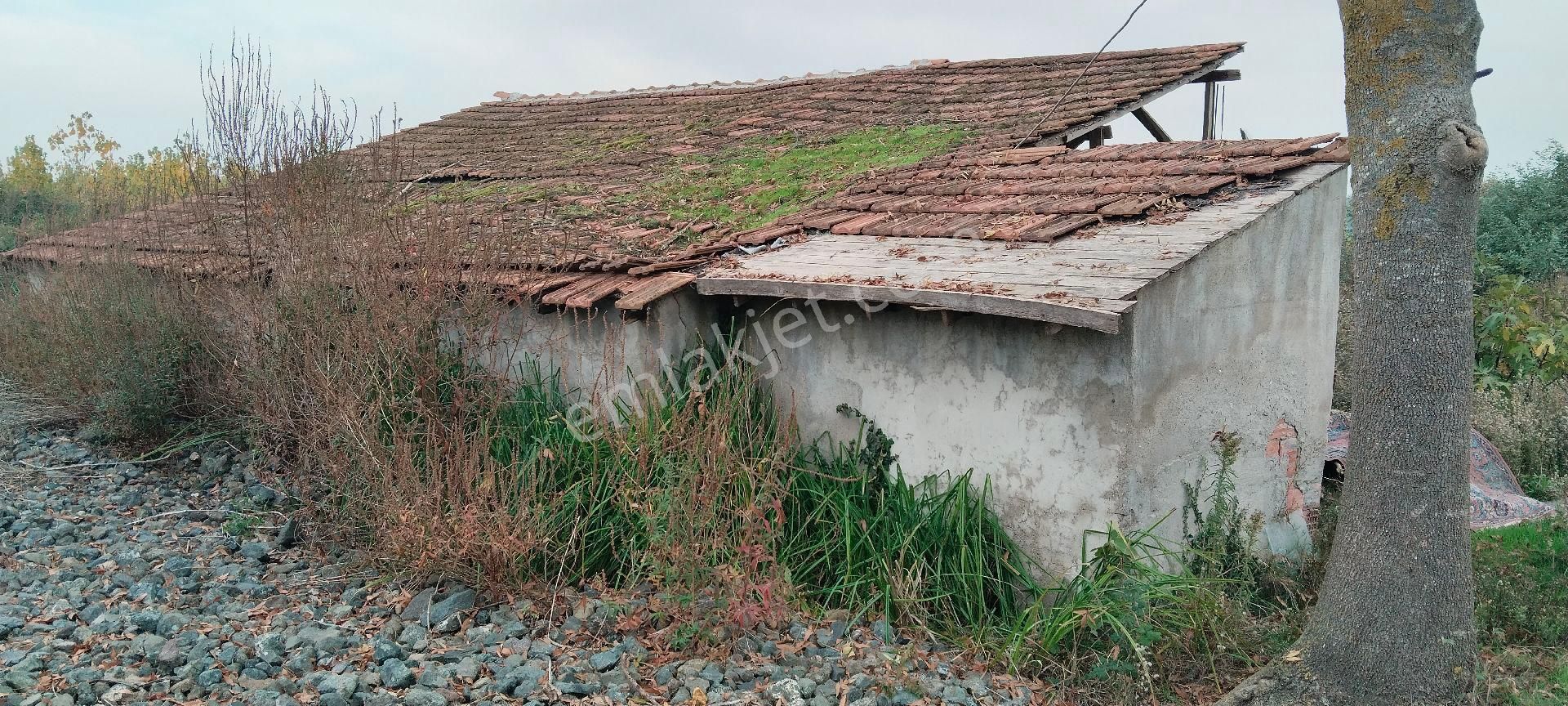 Çarşamba Costal Satılık Tarla - Görsel 23